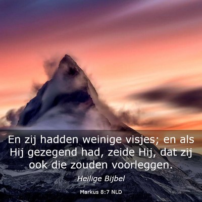 Picture 03 - Markus 8:7 NLD - En zij hadden weinige visjes; en als Hij gezegend - Bible Verse Picture