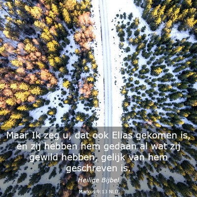 Picture 03 - Markus 9:13 NLD - Maar Ik zeg u, dat ook Elias gekomen is, en zij - Bible Verse Picture
