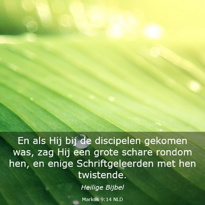 Picture 03 - Markus 9:14 NLD - En als Hij bij de discipelen gekomen was, zag Hij - Bible Verse Picture