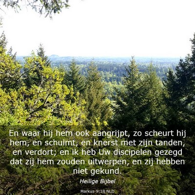 Picture 03 - Markus 9:18 NLD - En waar hij hem ook aangrijpt, zo scheurt hij - Bible Verse Picture