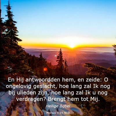 Picture 03 - Markus 9:19 NLD - En Hij antwoordden hem, en zeide: O ongelovig - Bible Verse Picture