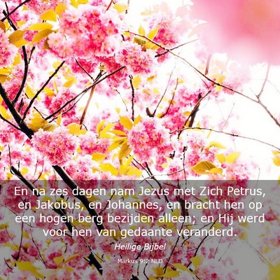 Picture 03 - Markus 9:2 NLD - En na zes dagen nam Jezus met Zich Petrus, en - Bible Verse Picture