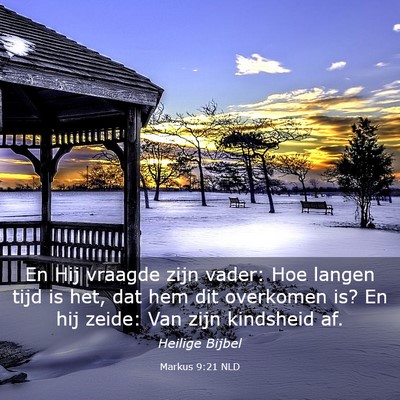 Picture 03 - Markus 9:21 NLD - En Hij vraagde zijn vader: Hoe langen tijd is - Bible Verse Picture