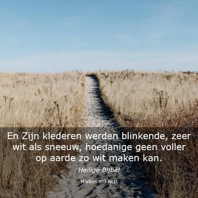 Picture 03 - Markus 9:3 NLD - En Zijn klederen werden blinkende, zeer wit als - Bible Verse Picture