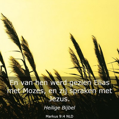 Picture 03 - Markus 9:4 NLD - En van hen werd gezien Elias met Mozes, en zij - Bible Verse Picture