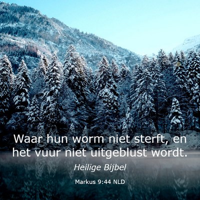 Picture 03 - Markus 9:44 NLD - Waar hun worm niet sterft, en het vuur niet - Bible Verse Picture