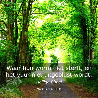 Picture 03 - Markus 9:46 NLD - Waar hun worm niet sterft, en het vuur niet - Bible Verse Picture