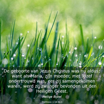 Picture 03 - Mattheüs 1:18 NLD - De geboorte van Jezus Christus was nu aldus; want - Bible Verse Picture