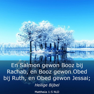 Picture 03 - Mattheüs 1:5 NLD - En Salmon gewon Booz bij Rachab, en Booz gewon - Bible Verse Picture