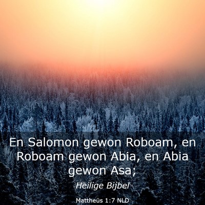 Picture 03 - Mattheüs 1:7 NLD - En Salomon gewon Roboam, en Roboam gewon Abia, en - Bible Verse Picture