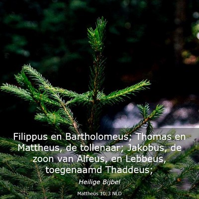 Picture 03 - Mattheüs 10:3 NLD - Filippus en Bartholomeus; Thomas en Mattheus, de - Bible Verse Picture
