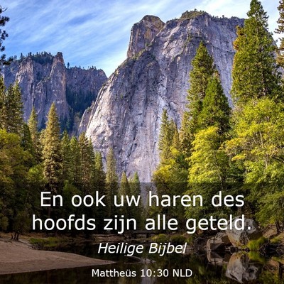 Picture 03 - Mattheüs 10:30 NLD - En ook uw haren des hoofds zijn alle - Bible Verse Picture