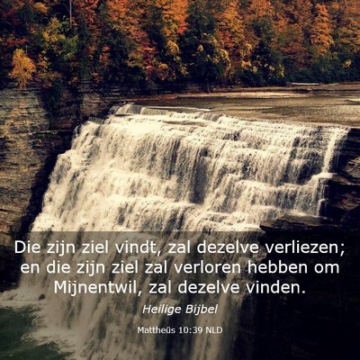 Picture 03 - Mattheüs 10:39 NLD - Die zijn ziel vindt, zal dezelve verliezen; en - Bible Verse Picture
