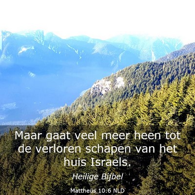 Picture 03 - Mattheüs 10:6 NLD - Maar gaat veel meer heen tot de verloren schapen - Bible Verse Picture