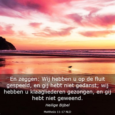 Picture 03 - Mattheüs 11:17 NLD - En zeggen: Wij hebben u op de fluit gespeeld, en - Bible Verse Picture
