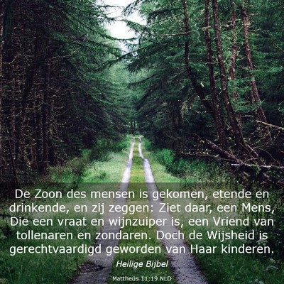 Picture 03 - Mattheüs 11:19 NLD - De Zoon des mensen is gekomen, etende en - Bible Verse Picture