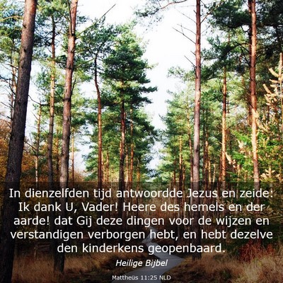 Picture 03 - Mattheüs 11:25 NLD - In dienzelfden tijd antwoordde Jezus en zeide: Ik - Bible Verse Picture