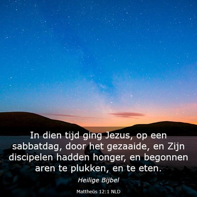 Picture 03 - Mattheüs 12:1 NLD - In dien tijd ging Jezus, op een sabbatdag, door - Bible Verse Picture