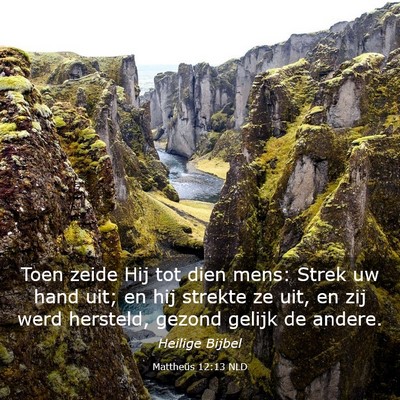 Picture 03 - Mattheüs 12:13 NLD - Toen zeide Hij tot dien mens: Strek uw hand uit; - Bible Verse Picture
