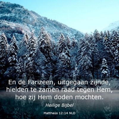 Picture 03 - Mattheüs 12:14 NLD - En de Farizeen, uitgegaan zijnde, hielden te - Bible Verse Picture