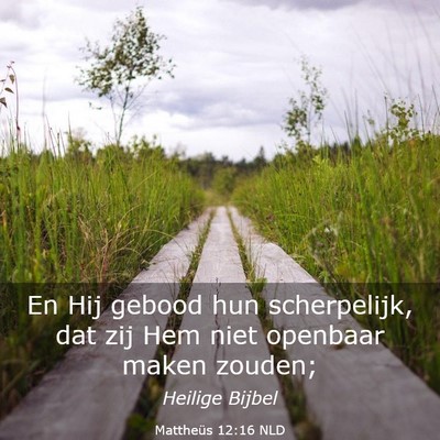 Picture 03 - Mattheüs 12:16 NLD - En Hij gebood hun scherpelijk, dat zij Hem niet - Bible Verse Picture