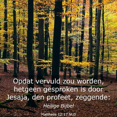 Picture 03 - Mattheüs 12:17 NLD - Opdat vervuld zou worden, hetgeen gesproken is - Bible Verse Picture