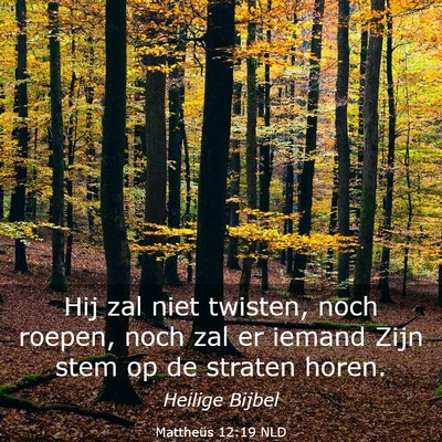 Picture 03 - Mattheüs 12:19 NLD - Hij zal niet twisten, noch roepen, noch zal er - Bible Verse Picture