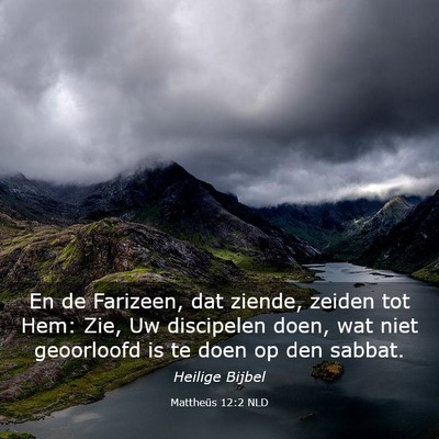 Picture 03 - Mattheüs 12:2 NLD - En de Farizeen, dat ziende, zeiden tot Hem: Zie, - Bible Verse Picture