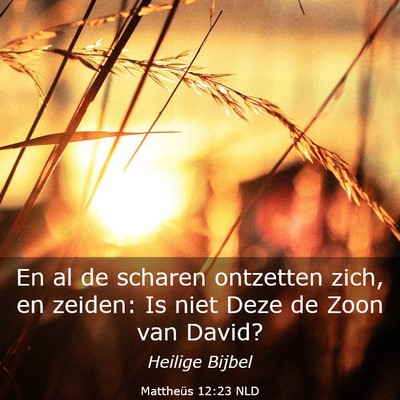 Picture 03 - Mattheüs 12:23 NLD - En al de scharen ontzetten zich, en zeiden: Is - Bible Verse Picture