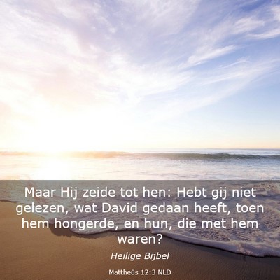 Picture 03 - Mattheüs 12:3 NLD - Maar Hij zeide tot hen: Hebt gij niet gelezen, - Bible Verse Picture
