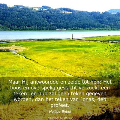 Picture 03 - Mattheüs 12:39 NLD - Maar Hij antwoordde en zeide tot hen: Het boos en - Bible Verse Picture
