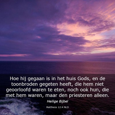 Picture 03 - Mattheüs 12:4 NLD - Hoe hij gegaan is in het huis Gods, en de - Bible Verse Picture
