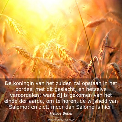 Picture 03 - Mattheüs 12:42 NLD - De koningin van het zuiden zal opstaan in het - Bible Verse Picture