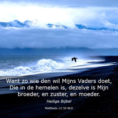 Picture 03 - Mattheüs 12:50 NLD - Want zo wie den wil Mijns Vaders doet, Die in de - Bible Verse Picture