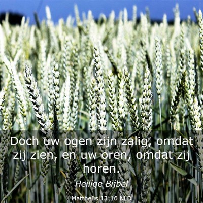 Picture 03 - Mattheüs 13:16 NLD - Doch uw ogen zijn zalig, omdat zij zien, en uw - Bible Verse Picture