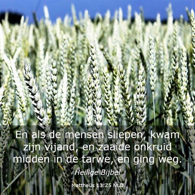 Picture 03 - Mattheüs 13:25 NLD - En als de mensen sliepen, kwam zijn vijand, en - Bible Verse Picture