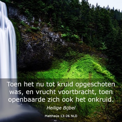 Picture 03 - Mattheüs 13:26 NLD - Toen het nu tot kruid opgeschoten was, en vrucht - Bible Verse Picture