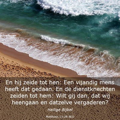 Picture 03 - Mattheüs 13:28 NLD - En hij zeide tot hen: Een vijandig mens heeft dat - Bible Verse Picture