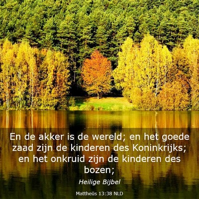 Picture 03 - Mattheüs 13:38 NLD - En de akker is de wereld; en het goede zaad zijn - Bible Verse Picture
