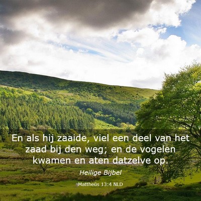 Picture 03 - Mattheüs 13:4 NLD - En als hij zaaide, viel een deel van het zaad bij - Bible Verse Picture