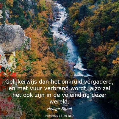 Picture 03 - Mattheüs 13:40 NLD - Gelijkerwijs dan het onkruid vergaderd, en met - Bible Verse Picture