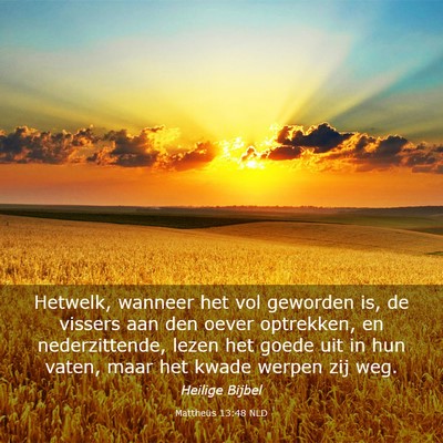 Picture 03 - Mattheüs 13:48 NLD - Hetwelk, wanneer het vol geworden is, de vissers - Bible Verse Picture