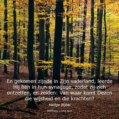Picture 03 - Mattheüs 13:54 NLD - En gekomen zijnde in Zijn vaderland, leerde Hij - Bible Verse Picture
