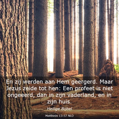 Picture 03 - Mattheüs 13:57 NLD - En zij werden aan Hem geergerd. Maar Jezus zeide - Bible Verse Picture