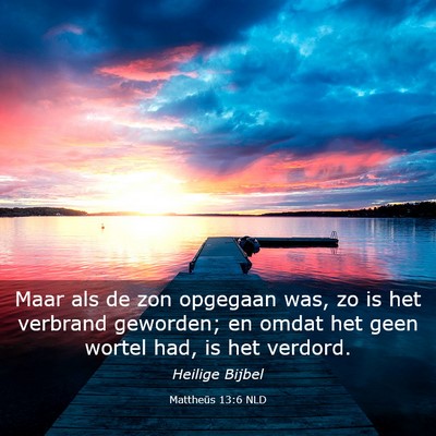 Picture 03 - Mattheüs 13:6 NLD - Maar als de zon opgegaan was, zo is het verbrand - Bible Verse Picture