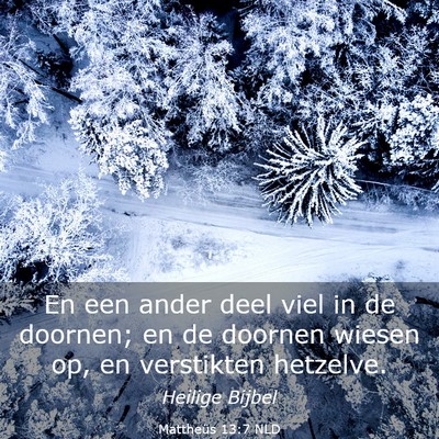 Picture 03 - Mattheüs 13:7 NLD - En een ander deel viel in de doornen; en de - Bible Verse Picture
