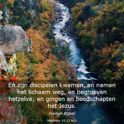 Picture 03 - Mattheüs 14:12 NLD - En zijn discipelen kwamen, en namen het lichaam - Bible Verse Picture
