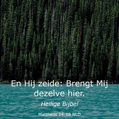 Picture 03 - Mattheüs 14:18 NLD - En Hij zeide: Brengt Mij dezelve - Bible Verse Picture
