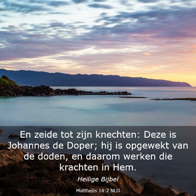 Picture 03 - Mattheüs 14:2 NLD - En zeide tot zijn knechten: Deze is Johannes de - Bible Verse Picture