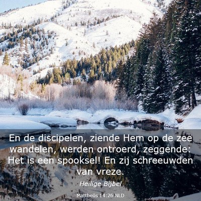 Picture 03 - Mattheüs 14:26 NLD - En de discipelen, ziende Hem op de zee wandelen, - Bible Verse Picture